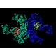 Ubiquitin Activating Enzyme (E1, E1/UBAE, ubiquitin-activating) ELISA Kit (Part hE1UBAE-ELISA)